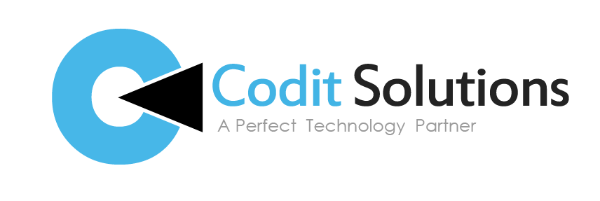 Hungry Bird - Codit Solutions